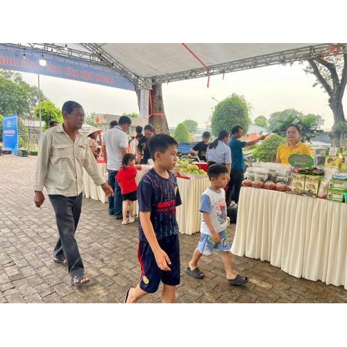 Ngày Hội Kết Nối Khởi Nghiệp Cao Lãnh 2025: Nơi Ươm Mầm Những Ý Tưởng Đột Phá